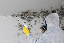 Best Residential Mold Inspection & Testing  in Geneva, AL